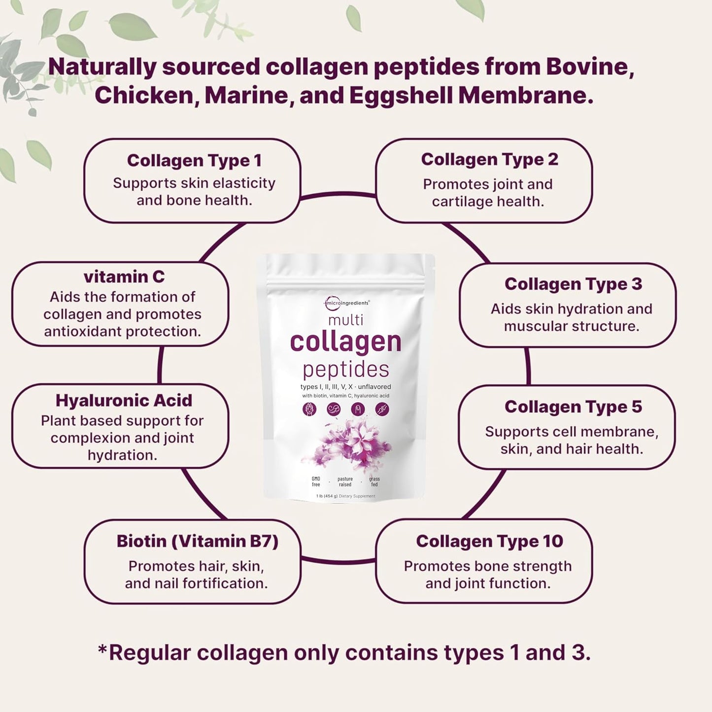 Ingredients Multi Collagen Peptides Powder - Hydrolyzed Protein Peptides (Type I,II,III,V,X) with Hyaluronic Acid, Biotin & Vitamin C Unflavored