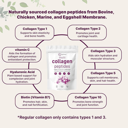 Ingredients Multi Collagen Peptides Powder - Hydrolyzed Protein Peptides (Type I,II,III,V,X) with Hyaluronic Acid, Biotin & Vitamin C Unflavored