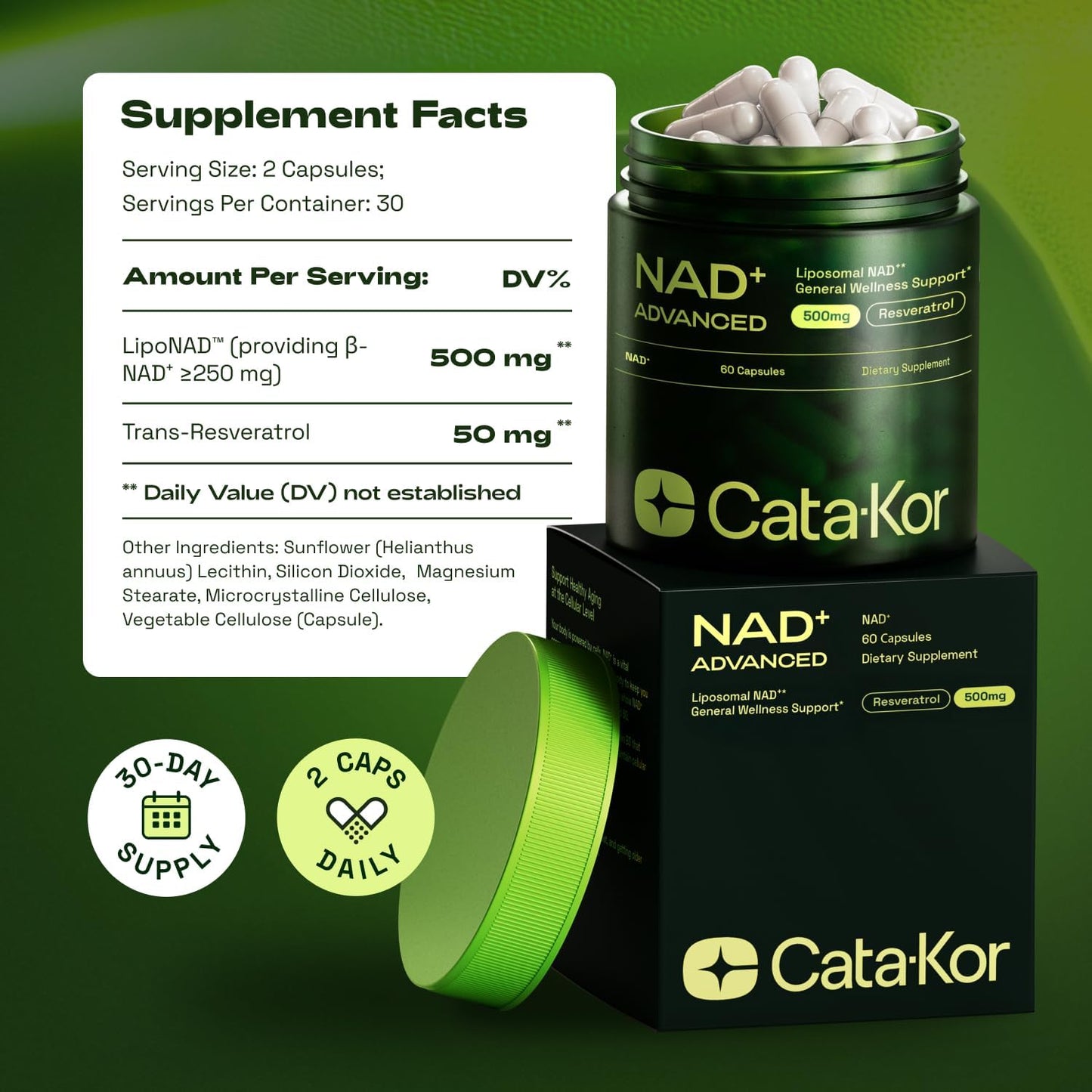 The ONLY High-Absorption NAD+ Formula Your Body Can Actually Use