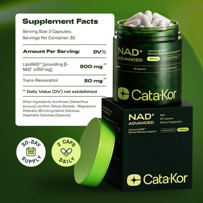 The ONLY High-Absorption NAD+ Formula Your Body Can Actually Use